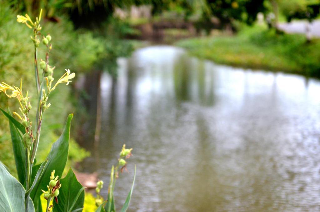 The Grand Jamjuree Resort ラムプーン 部屋 写真